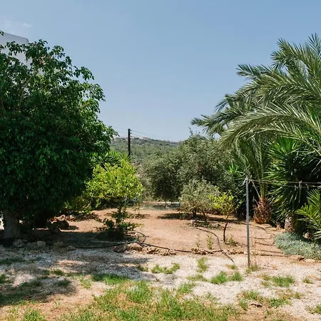 Aphrodite 3 Bedroom Latchi